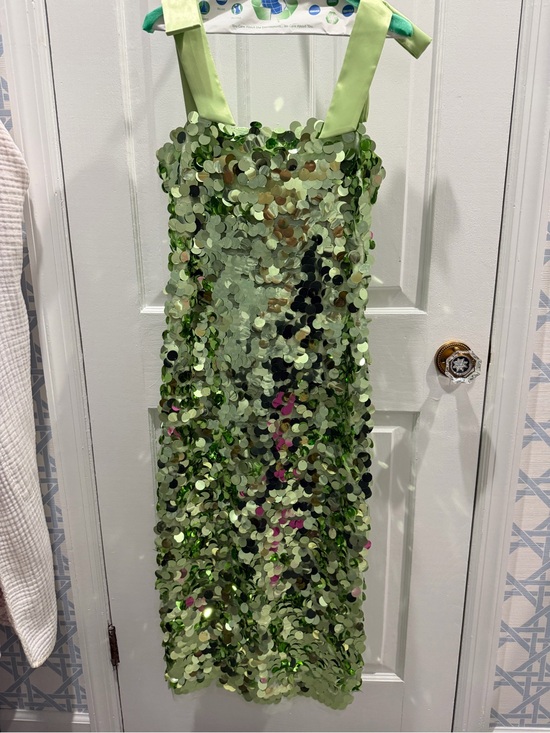 Tuckernuck Dresses & Skirts - Tuckernuck Light Green Sequin Maxi Dress
